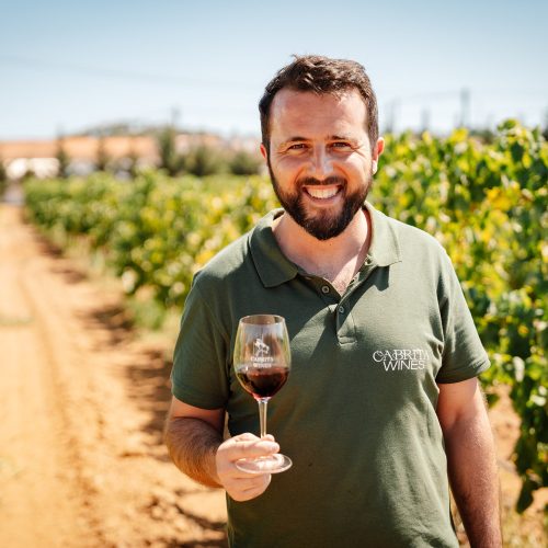 Cabrita Wines Harvest 2022